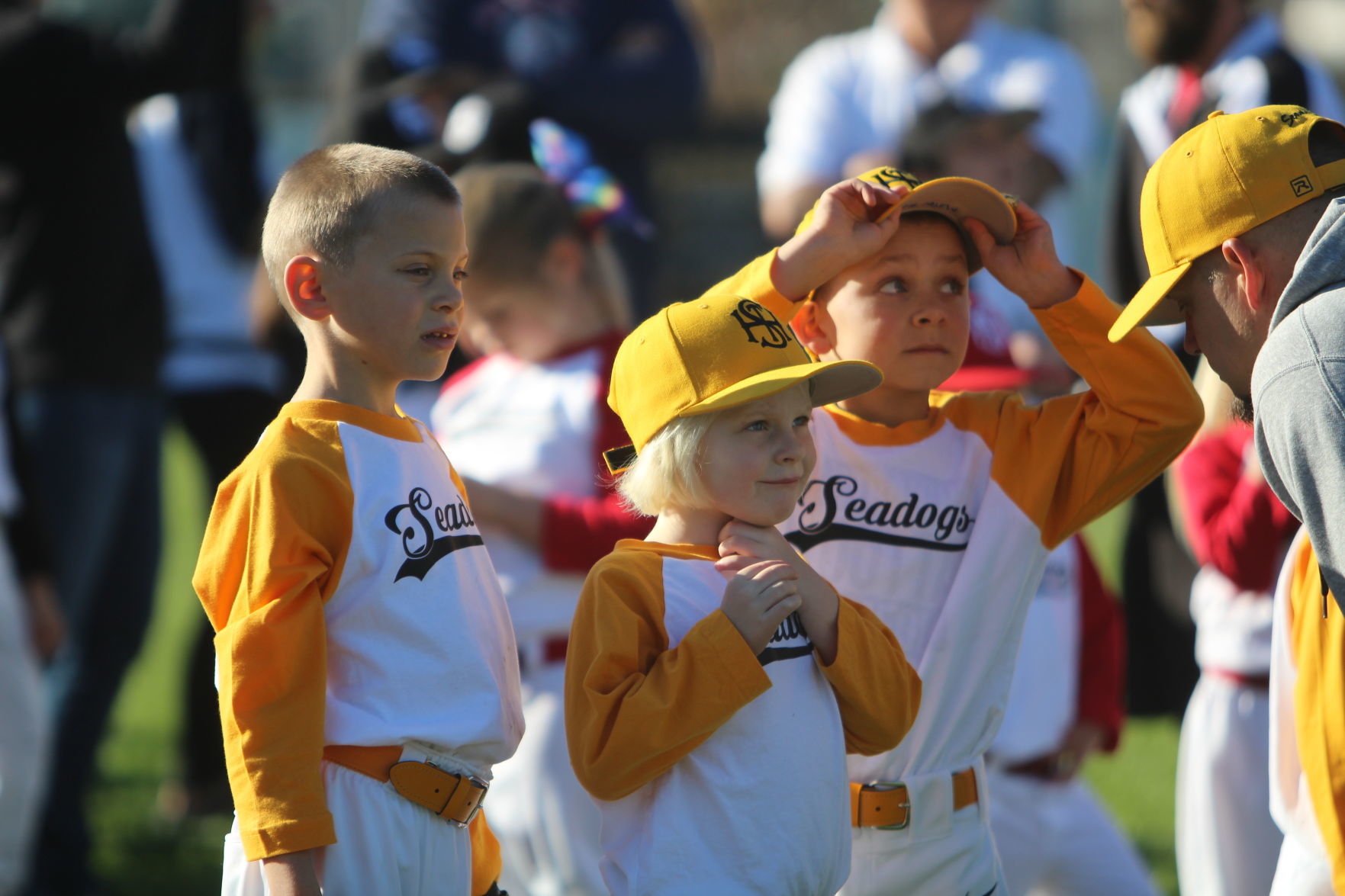 St. Helena Little League
